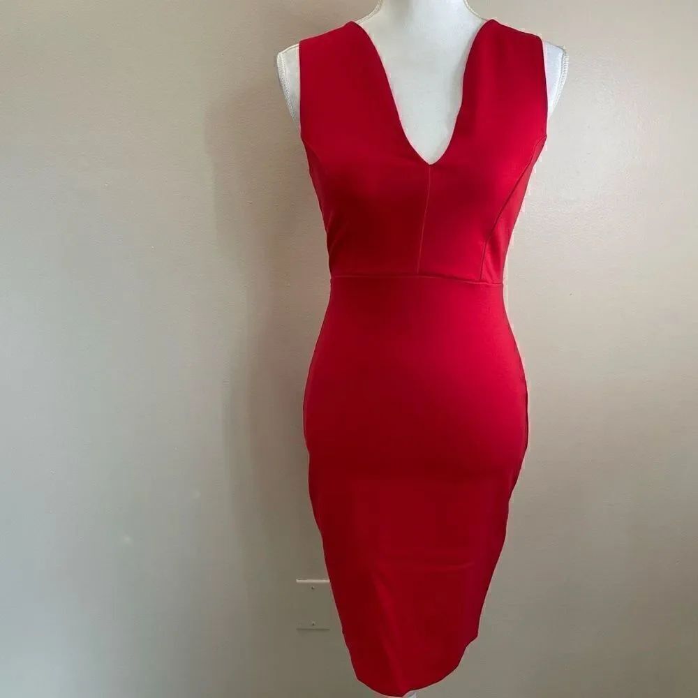 Lulus|Bodycon| Gold Zipper back